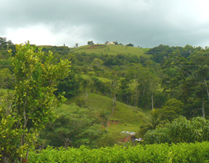 Lovely forested and pastured hills rise high behind the private enclave.